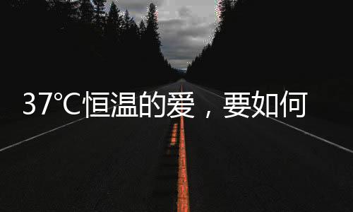 爱何我也曾问过自己