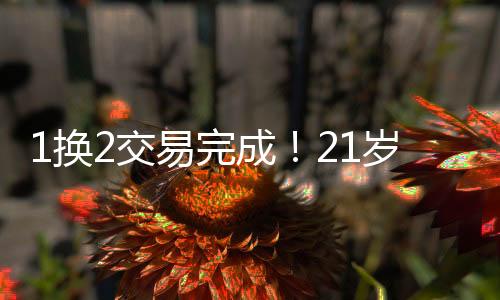 他们收到很多交易方案