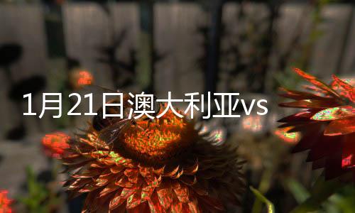 乌兹内斯特洛夫将球扑出