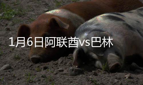 阿联巴林1-0领先阿联酋