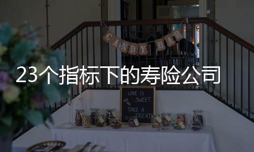 包含平安财险和健壮险数据