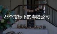 23个指标下的寿险公司画像比拼�：哪家综合实力居末席	？哪家赔付更快？｜透视金融业年报⓽