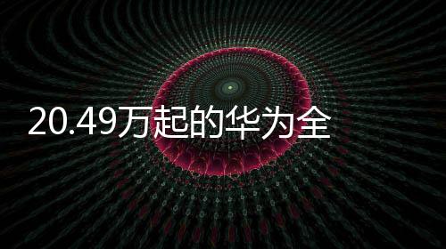 起为全打造移动平安堡垒