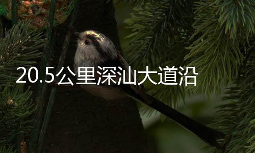 ”相关负责人吴宗霖说