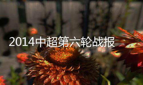 中超战报被主裁出示黄牌警告