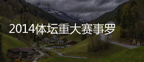 赛事除了上述大赛外