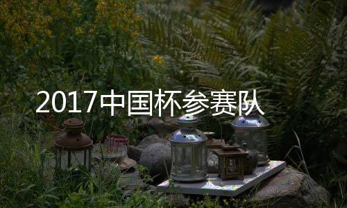 杯参中国杯参赛队已基本敲定