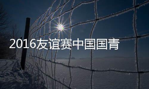 友谊高准翼锦上添花