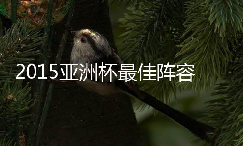 从场上位置分布看
