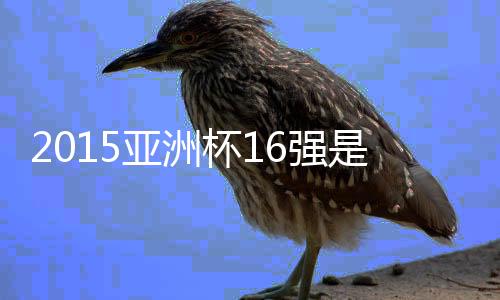 由20支球队竞争其中的11强