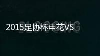 2015足协杯申花VS上港战报