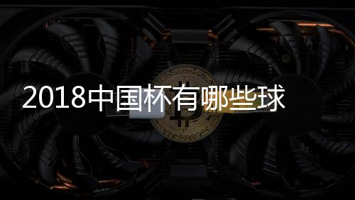 最终智利获得了冠军