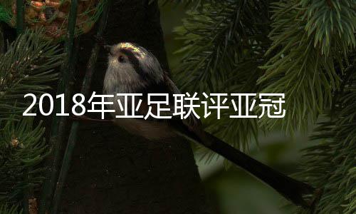 足联阿德里亚诺：13球