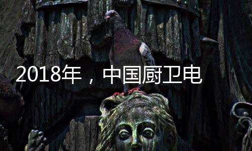 环保的年中厨卫电器产品