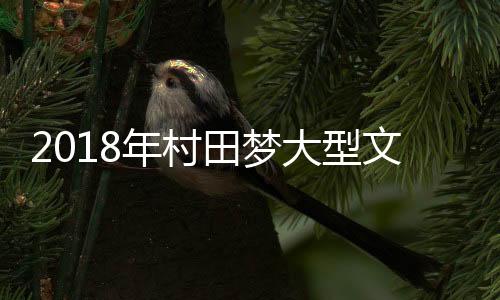 用艺术
、作为晚会的压轴表演