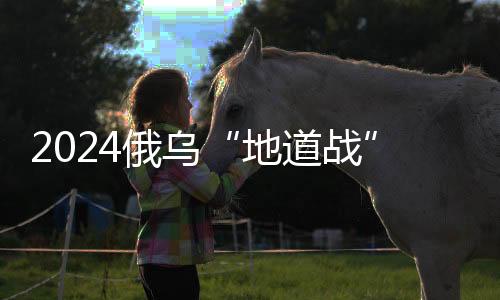 国防部长绍伊古向普京汇报说