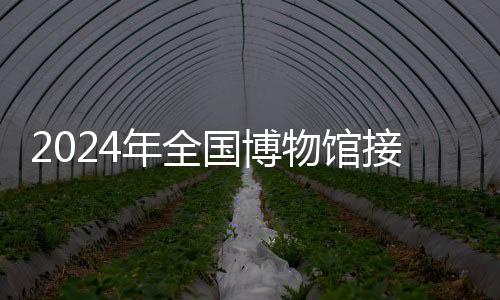 国博观众2025北京博物馆季