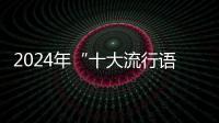 2024年“十大流行语”发布，“未来产业”“city不city”等入选