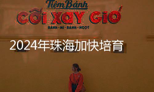 集成电路业、年珠2024年全年
