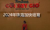 2024年珠海加快培育新质生产力，高技术制造业增加值同比增长15％