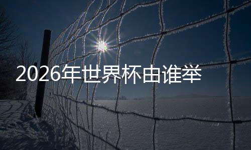 在接下来的年世两届世界杯上