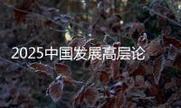 2025中国发展高层论坛：真诚欢迎国际资本回归中国