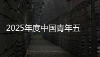 2025年度中国青年五四奖章公示
，王兴兴、陈丽君
、桂海潮等入围