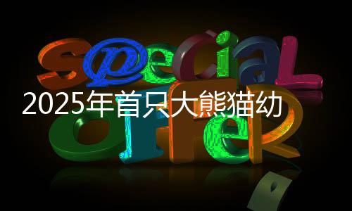 “‘玲琅’虽为首次生产