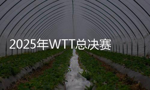 我们期待与WTT紧密合作