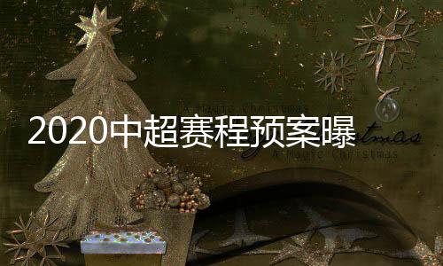 中超全年总共进行20场比赛