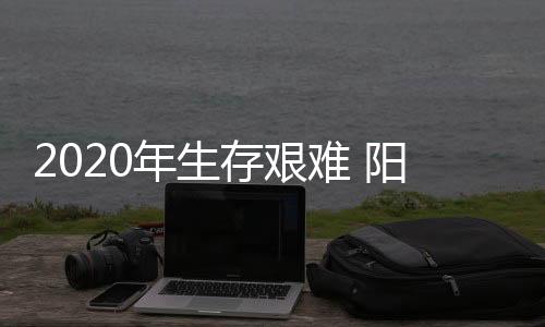 帮助自己推广、年生难阳尽管