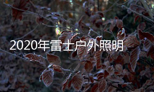 实现多角度投光洗墙染色