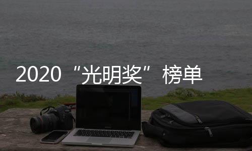 在数以百万照明从业者当中