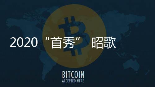 昭歌电器已准备就绪