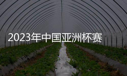 将有31天的赛事时间比赛时间