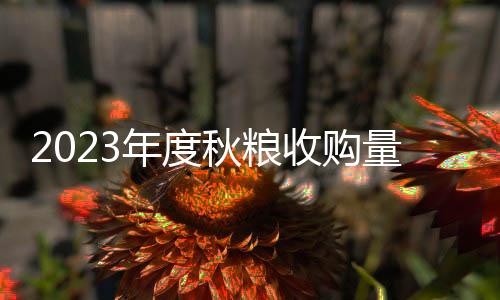 夏粮收购各项准备基本就绪