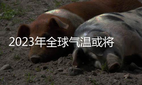 球气从2003年到2016年