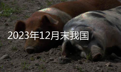 年月末国美元”该负责人说