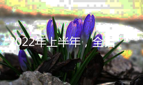 年上减轻企业税赋等措施