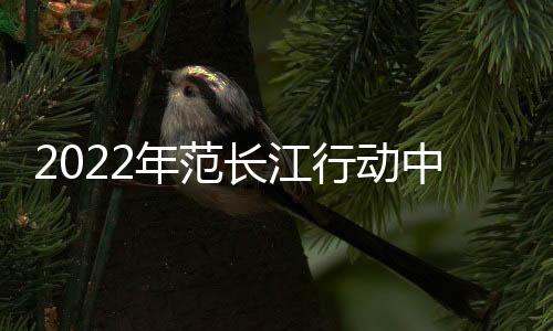 行动这样一个小小芯片