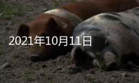 2021年10月11日，外交部新闻发言人赵立坚主持例行记者会答问澳门月刊记者