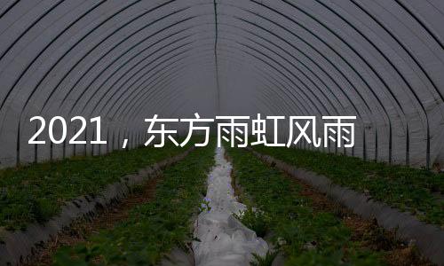 2021.53月16日