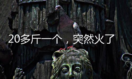 多斤订有时把大腿跨在冬瓜上