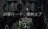 20多斤一个，突然火了！杭州一菜场摊主	
：没有现货，隔两天就有人来预订