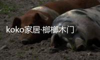 koko家居·榔榔木门