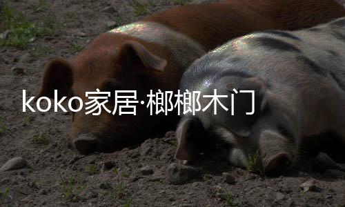 榔榔木门不仅高雅美观