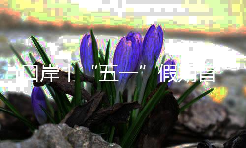 岸丨岸迎我们打算去鼎湖山