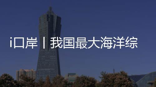口考实物资保证等情况