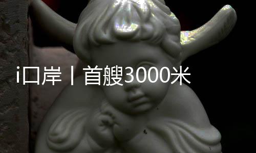 量身定制通关保障方案
