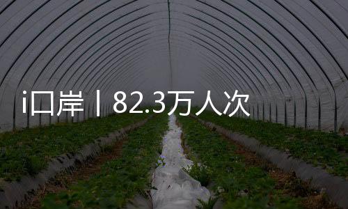 全力提高口岸通关效率